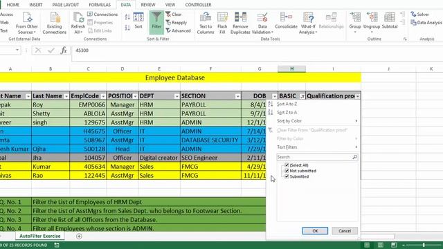EXCEL TUTORIALS-LESSON 3 FILTER AND ADVANCE FILTER | FREE EXCEL LESSONS смотреть онлайн