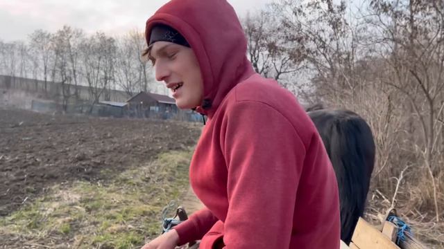 @TiberiusiCornel NE-AU CHEMAT LA CĂSUȚA DIN PĂDURE смотреть онлайн