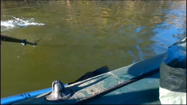 ?ТРЕТИЙ ДЕНЬ РЫБАЛКИ В ОКТЯБРЕ РЕКА ЧУЛЫМ 2021.? смотреть онлайн