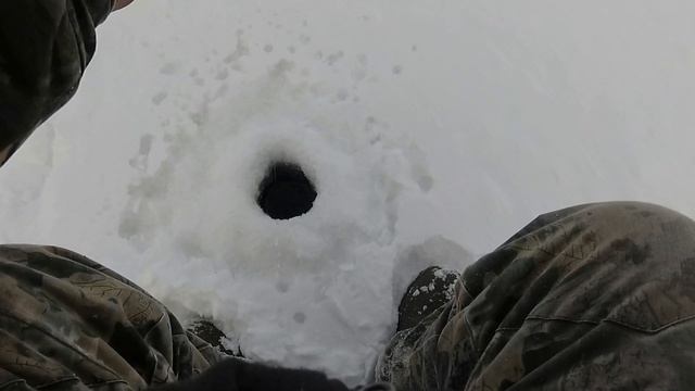 Рыбалка на "ПАРОВОЗ" смотреть онлайн