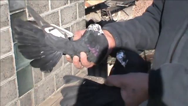 В гостях у друга смотреть онлайн