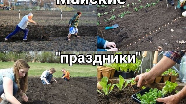 Творческий Путь к Искусству