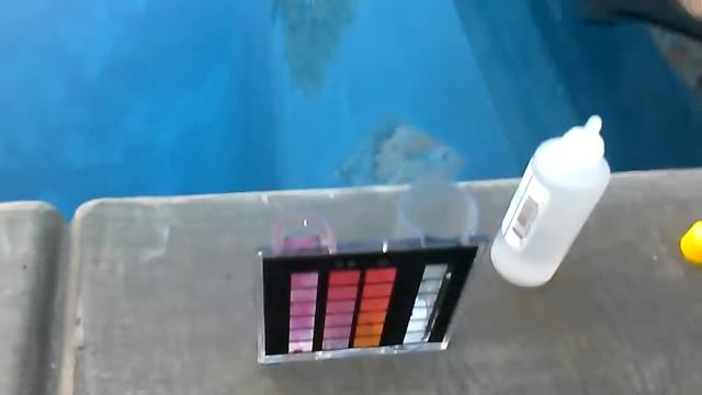 Testing Chlorine Level on Swimming Pool смотреть онлайн