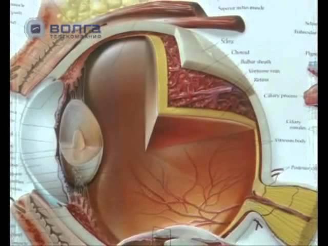 Проверка зрения. Диагностика зрения смотреть онлайн