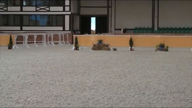 Разминка. Начало урока смотреть онлайн