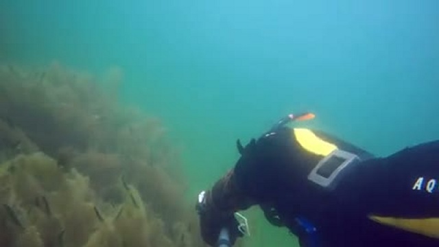 Фридайвинг на озере Инголь