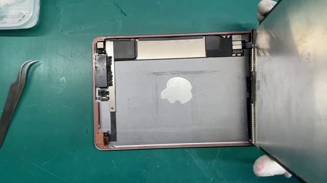 大阪本町 iPad mini 5 A2133 ディスプレイとバッテリー交換修理 смотреть онлайн
