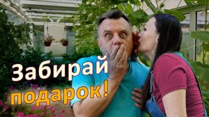 Лето заканчивается! Урожай не вызревает! ЧТО ДЕЛАТЬ, ШЕФ???