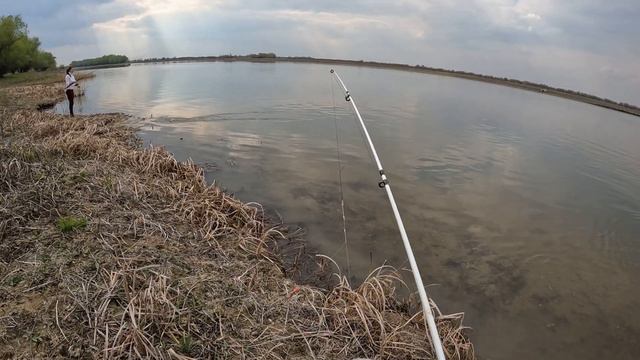 СПАСЛИ КОРОВУ ПО ДОРОГЕ НА РЫБАЛКУ. Наловили воблу на засолку. смотреть онлайн