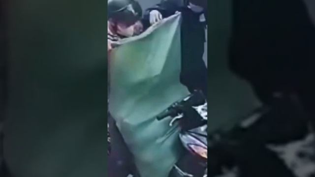 Воруют чужих собак средь Бела дня ? #новости смотреть онлайн