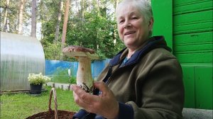 «Жизнь на пенсии»... Занималась переборкой грибов.