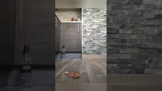 crushing things with my foot! Crushing foods! ASMR foods crush! Crush fetish! Trample. Food Crush смотреть онлайн