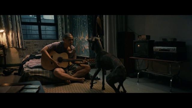 Чёрный пёс - Русский трейлер (2024) смотреть онлайн