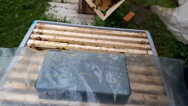 ОШИБКИ НАЧИНАЮЩЕГО МАТКОВОДА.СБОРКА НУКЛЕУСА. Видео 4. Заключительное.