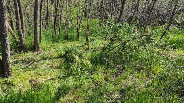 Деградація грунтів на схилі внаслідок систематичного розорювання смотреть онлайн