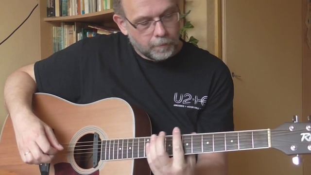 Richwood Acoustic guitar - Panasonic hc-v160 camera смотреть онлайн