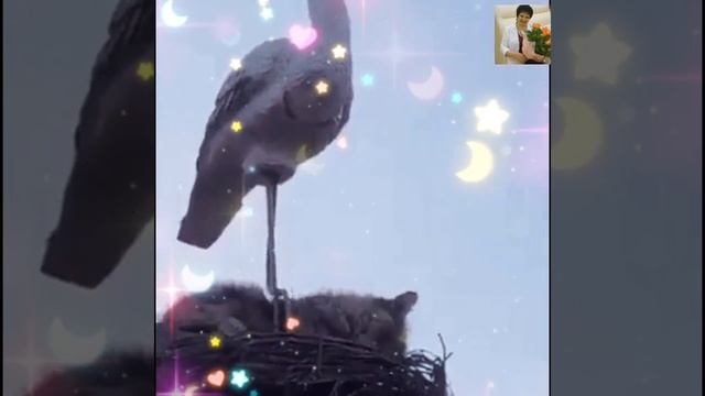 Тёплого и уютного вечера!❤❤❤ смотреть онлайн