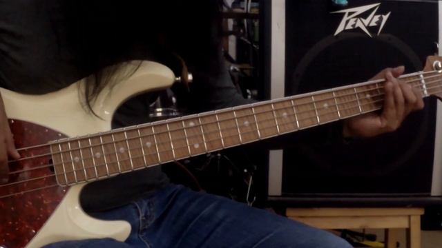 Deep Purple - Smoke On the Water | Bass Solo Section | Ilham NRG смотреть онлайн