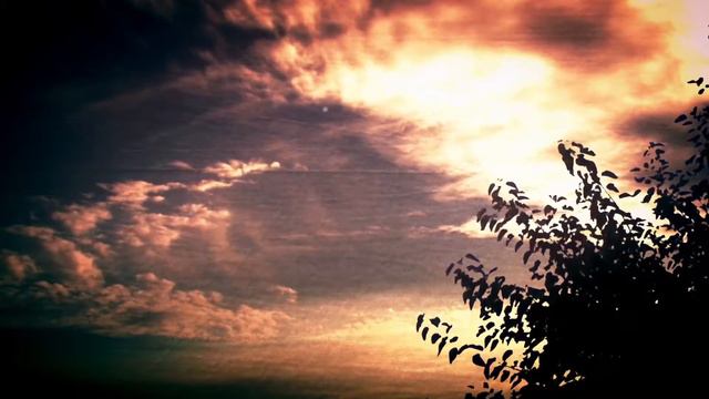«Живые видео обои»907653154 смотреть онлайн