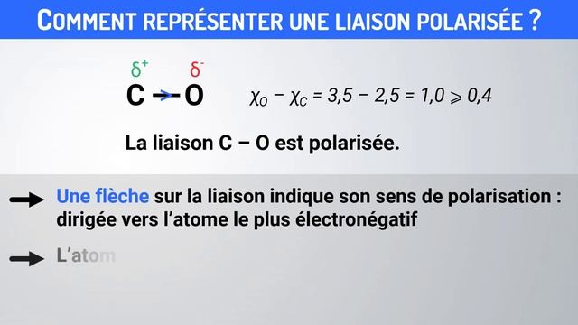 Déterminer la polarité d'une molécule | Première | Physique-Chimie смотреть онлайн