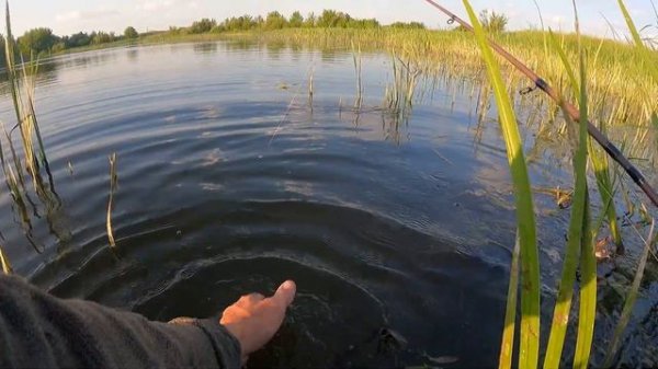 TsuYoki Sanitar 125F. Обзор воблера и первый тест Щуками