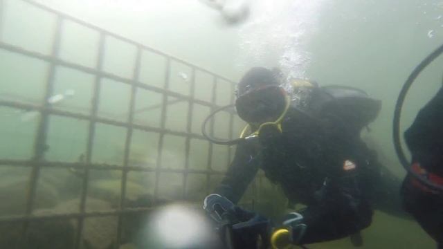 Поездка озеро Тургояк Дайвинг Фитнес- клуб "Адреналин" Trip on the lake Turgoyak Diving 5 07 2014г смотреть онлайн