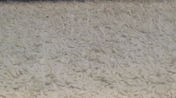 РЕВЕНАНТ против НЬЮТОНА / REVENANT vs NEWTON