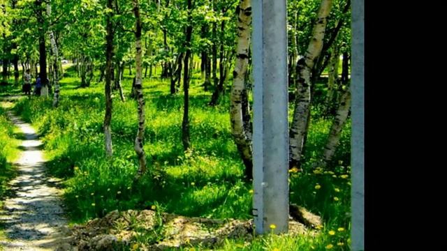 Сахалинская областная больница смотреть онлайн