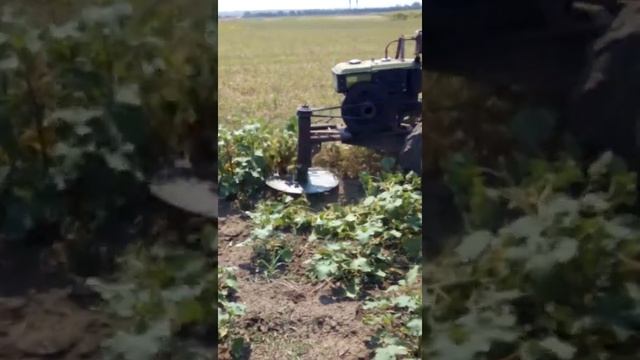 Motocoasa pentru motobloc смотреть онлайн