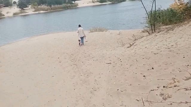 Дорога из Щурово на Голубые озера 30.09.2020. Идем пить чай на пляж. смотреть онлайн
