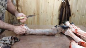 Охота. Обдирка камуса 2-я часть