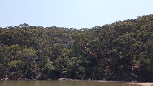 Как проводят зиму в Сиднее. Парк в Сиднее. смотреть онлайн