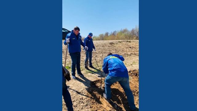 Представители ЛДПР в Волгограде создали фруктовый сад имени В.В. Жириновского смотреть онлайн