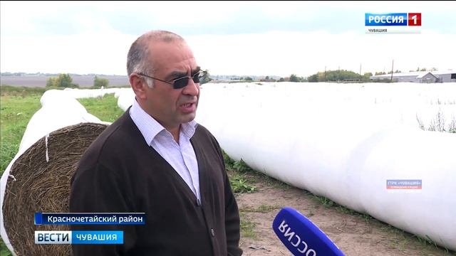 Красночетайские фермеры придумали способ увеличить надои молока смотреть онлайн