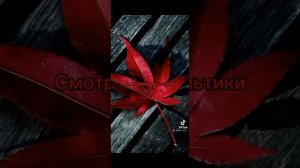 ??~Пой эту песню если ты~??  ??*32 минуты*??