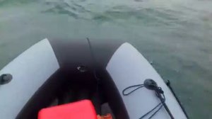 Обкатка лодочного мотора сузуки 15 сил второй день