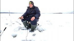 зимняя рыбалка / рыбалка на судака / судак на тюльку / рыбалка 2022 / судак зимой / зимний судак