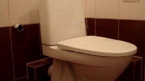 установка унитаза с поворотом в совмещённом санузле www.remsanteh.ru