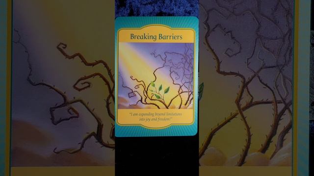Breaking Barriers ⛩️ Gateway Oracle card meaning смотреть онлайн
