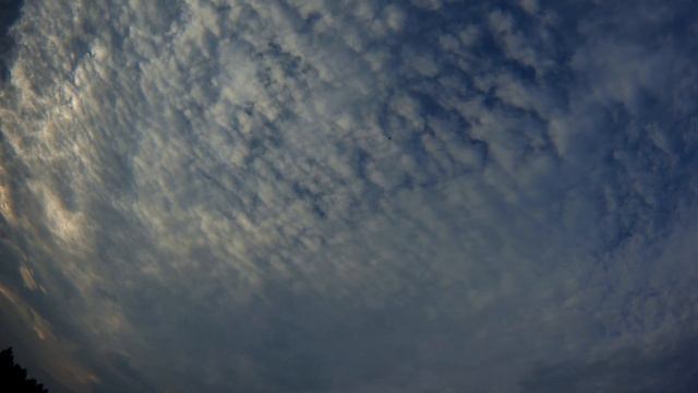 XK X251A Whirlwind FLIP KING Brushless Motor with X7 Transmitter смотреть онлайн