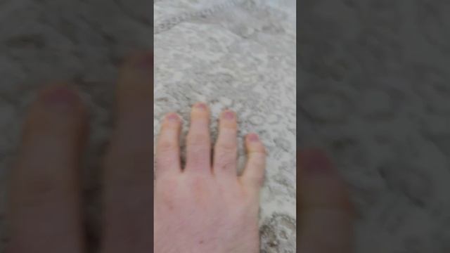 ковры Нижний Новгород смотреть онлайн