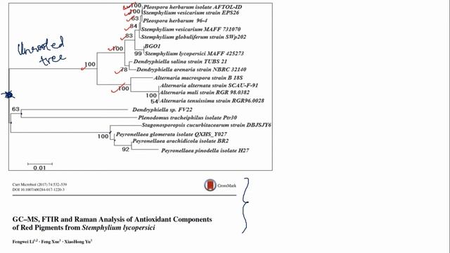 JSB #4 | Bioinformatics-3 | Analysing Phylogenetic Tree(s) | #JSBiology смотреть онлайн