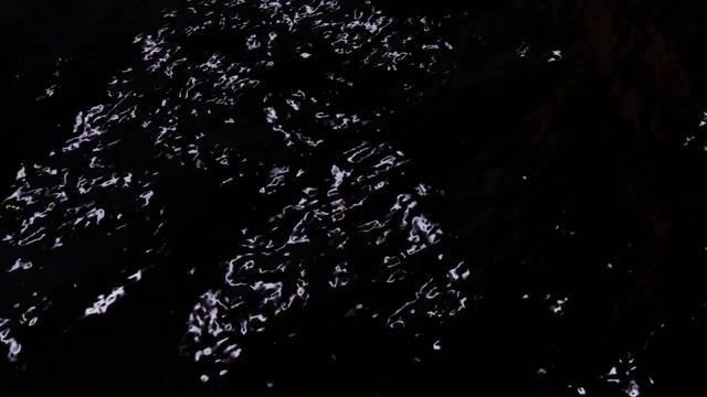 играю по сети в Primal Carnage Extinction смотреть онлайн