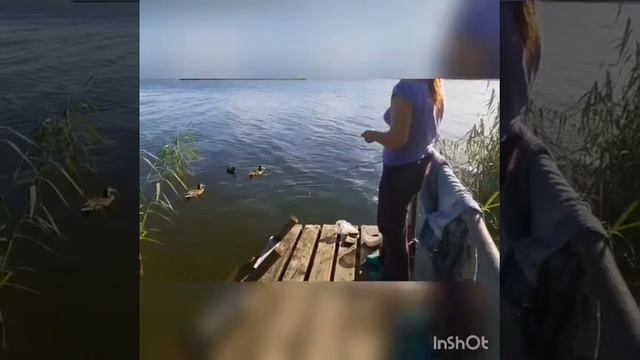 Рыбалка с детьми смотреть онлайн