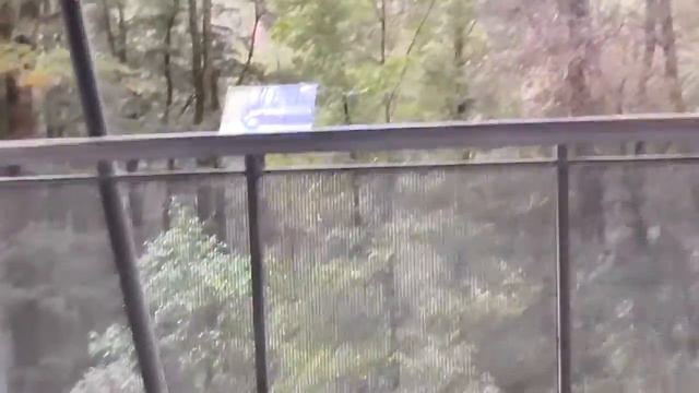 Прогулка по дождевому лесу в Австралии, часть 1. смотреть онлайн