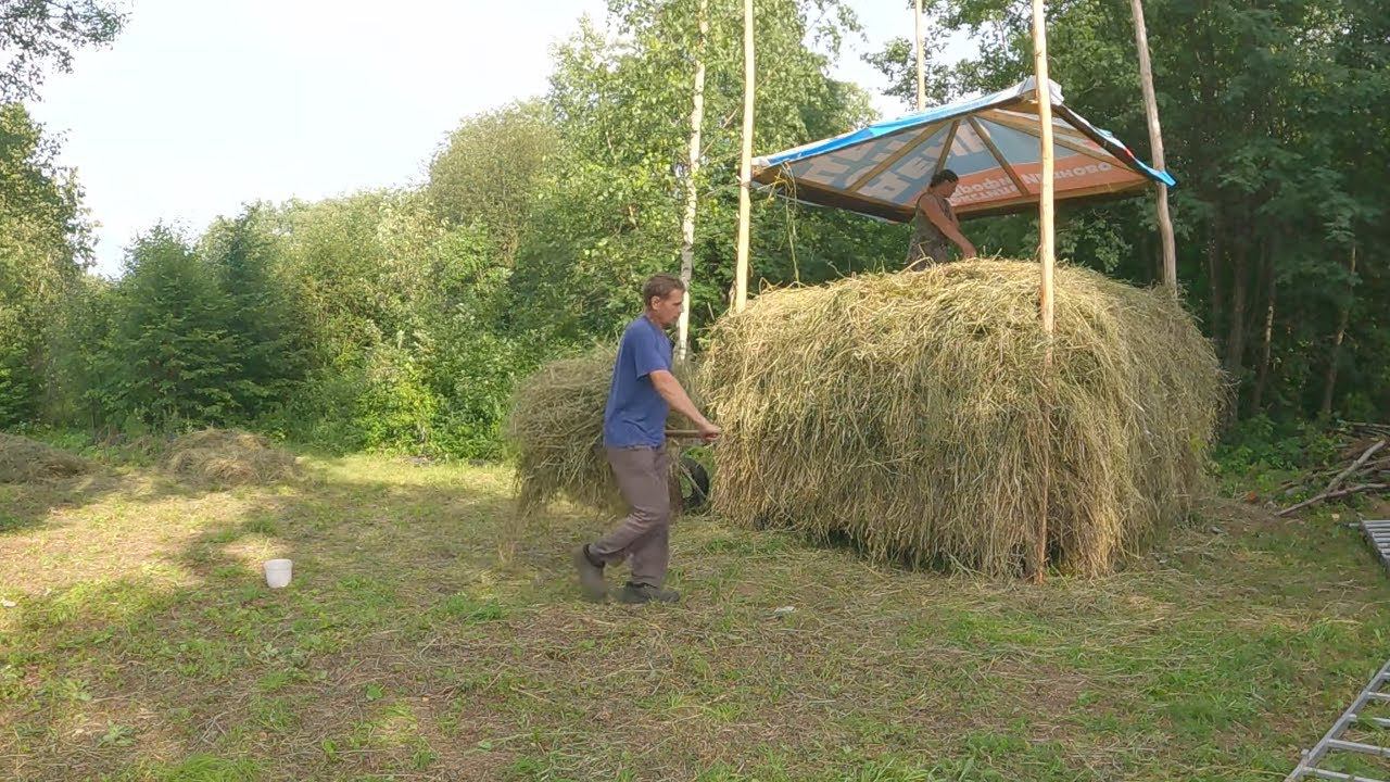 Непростой сенокос, стог с крышей, Яшка, коровы, индюки, огород! Новости за неделю! смотреть онлайн