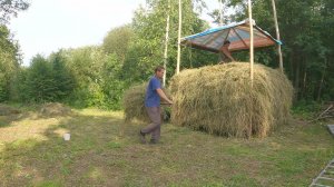 Непростой сенокос, стог с крышей, Яшка, коровы, индюки, огород! Новости за неделю!