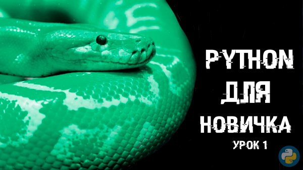PYTHON ДЛЯ НОВИЧКА. Урок 1. Установка Python, обзор PyCharm и первый скрипт.