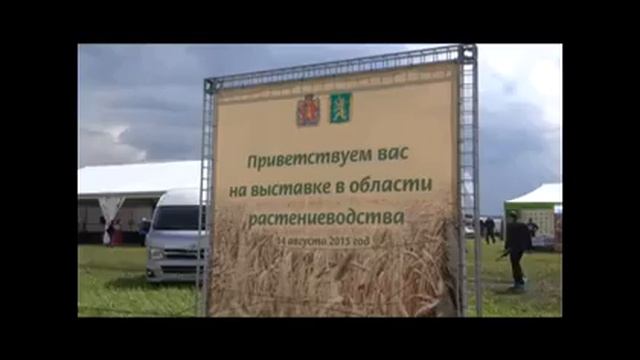 День поля смотреть онлайн