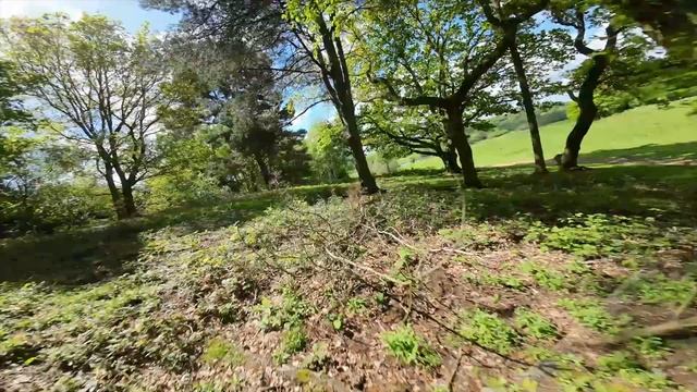 DJI MINI 3 PRO | THE BEST CONSUMER DRONE?